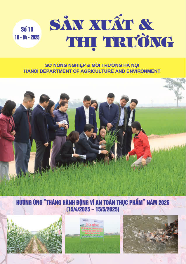 Bản tin Sản xuất & Thị trường số 10 năm 2025