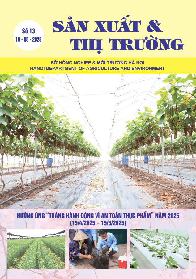 Bản tin Sản xuất & Thị trường số 13 năm 2025