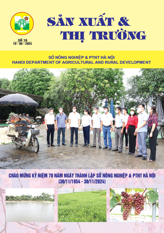 Bản tin Sản xuất & Thị trường số 16 năm 2024