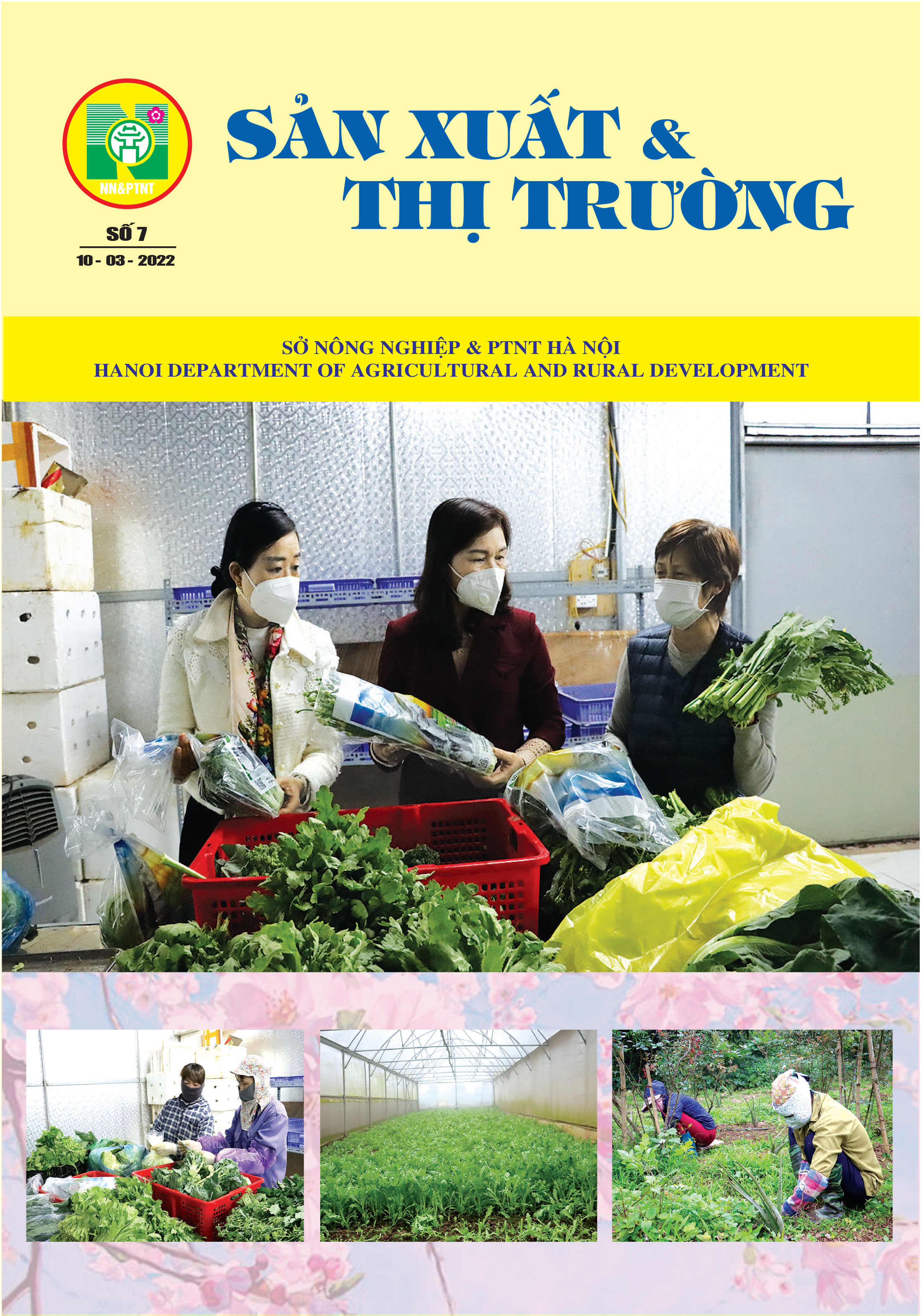 Bản tin Sản xuất & Thị trường số 7 năm 2022