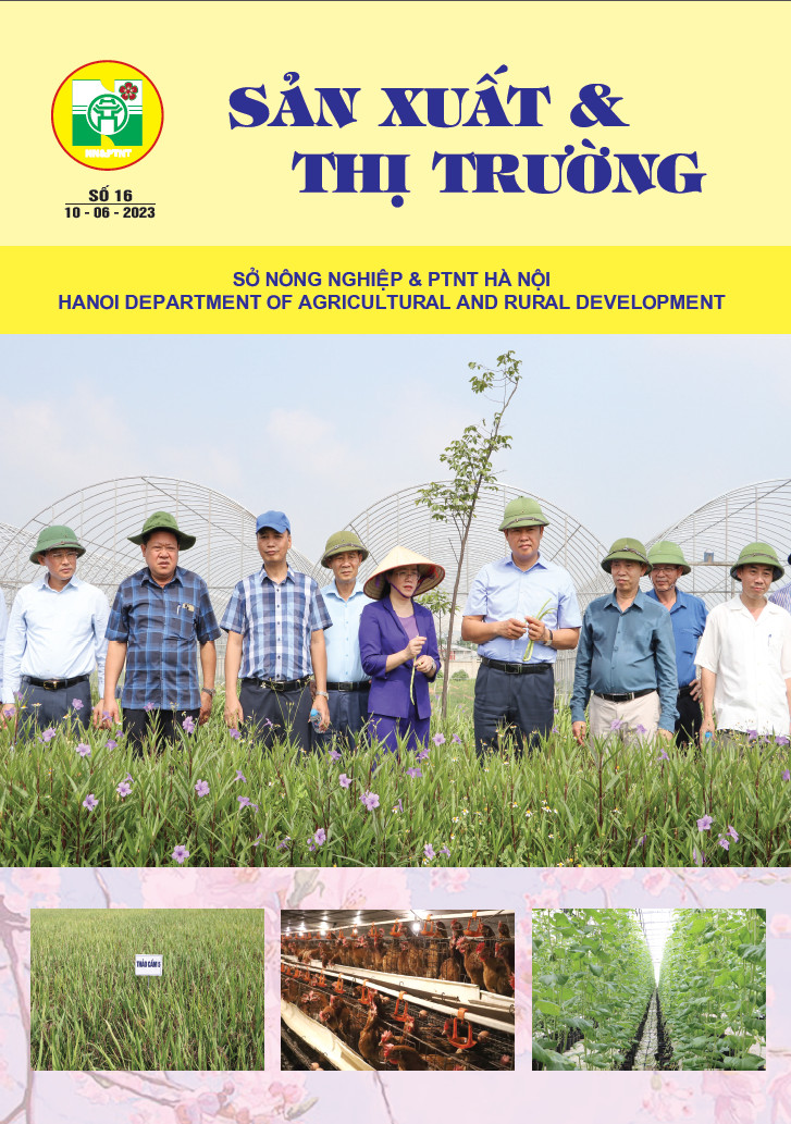 Bản tin Sản xuất & Thị trường số 16 năm 2023