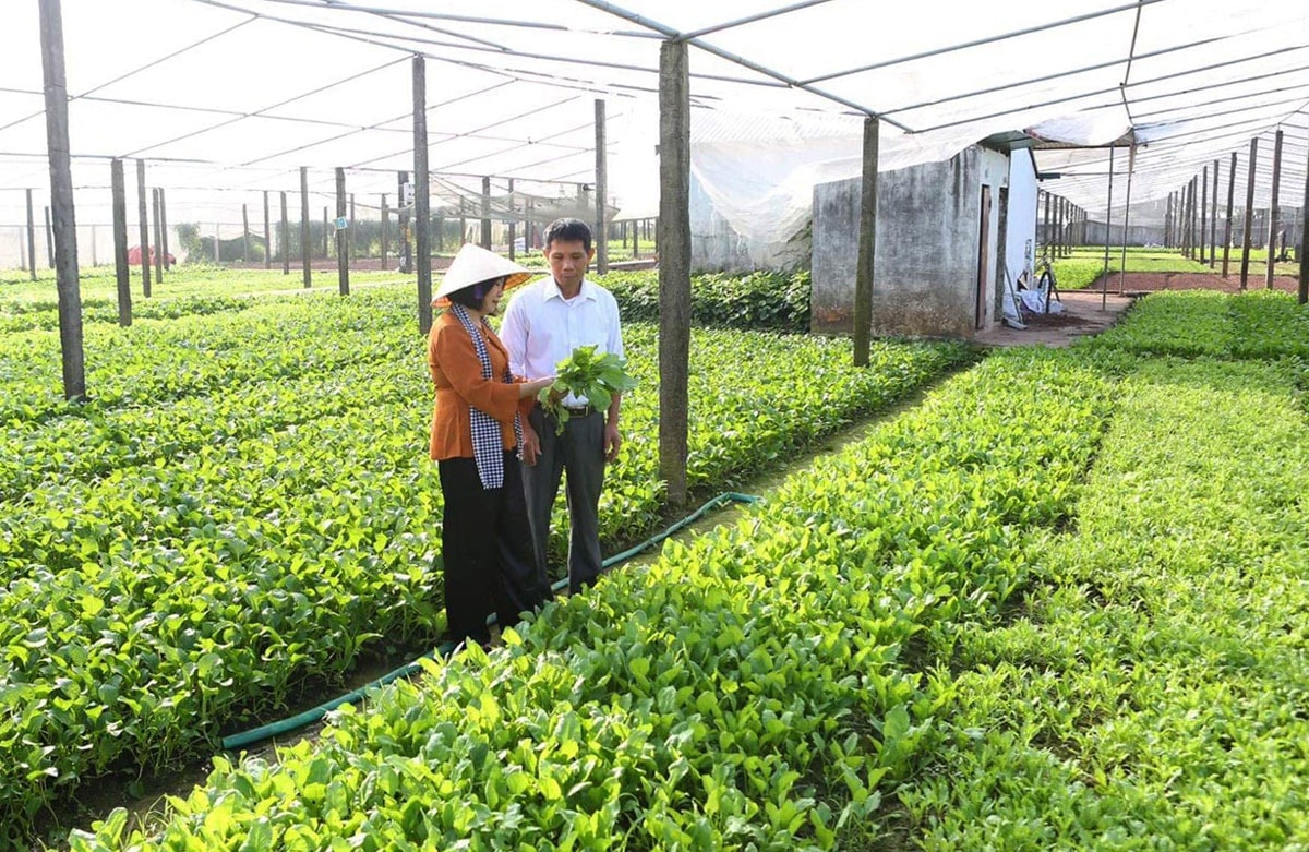 Xây dựng nông thôn mới gắn với phát triển đô thị ở Hà Nội: Nâng cao giá trị sản xuất,...