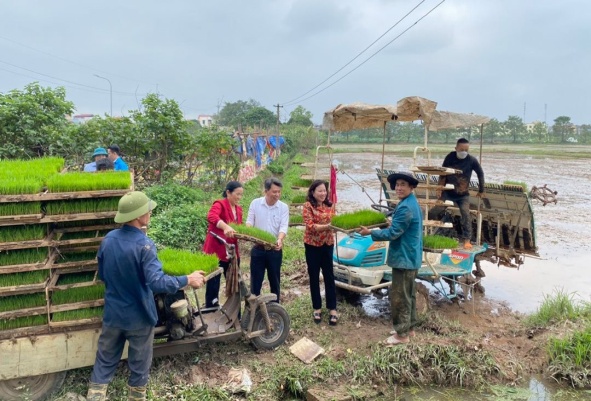 Hiệu quả từ những mô hình không bỏ ruộng hoang