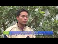 Nhà nông cần biết: Mô hình trồng cây ăn quả VietGAP hiệu quả