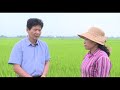 Hướng dẫn cahcs bón phân cho cây trồng đúng cách