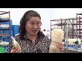 Nhà nông_Mô hình sản xuất nấm CNC