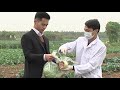 Nhà nông cần biết: VietGAP trong lĩnh vực trồng trọt