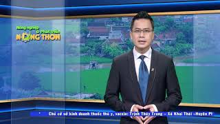 Tin hội nghị phát triển chăn nuôi bò thịt