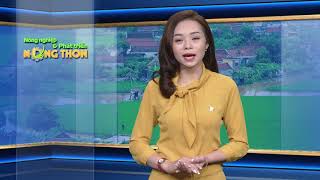 Tin_Tiếp xúc cử tri tại huyện Ứng Hòa