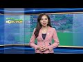 Tin kiểm tra công tác phòng dịch tả lợn tại Ba Vì