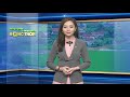 Tin Hà Nội họp trực tuyến về dịch tả lợn châu phi