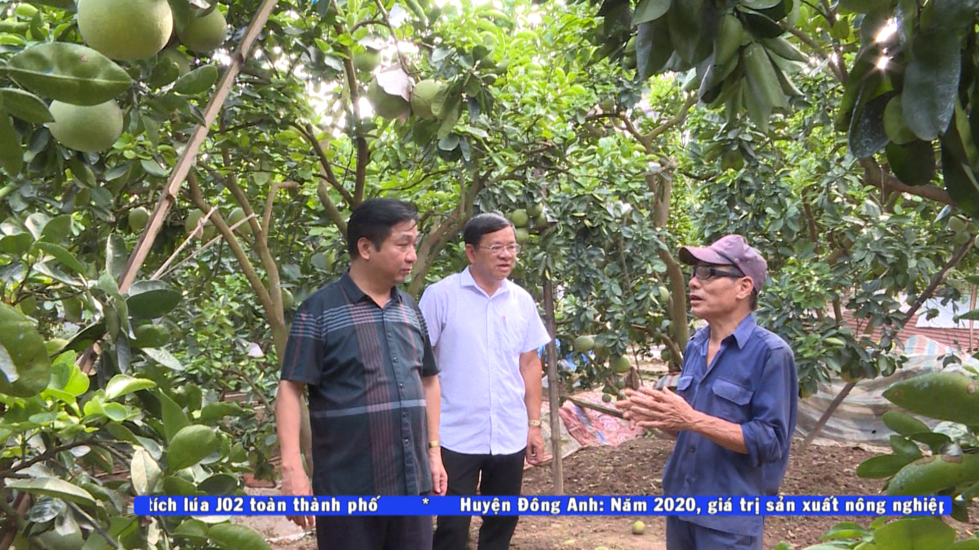 Tin_Tham dinh xa NTM, NTM nang cao tai Chuong My, Hoai Duc