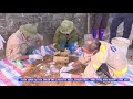 Tin_Hà Nội triển khai công tác diệt chuột bảo vệ vụ Xuân