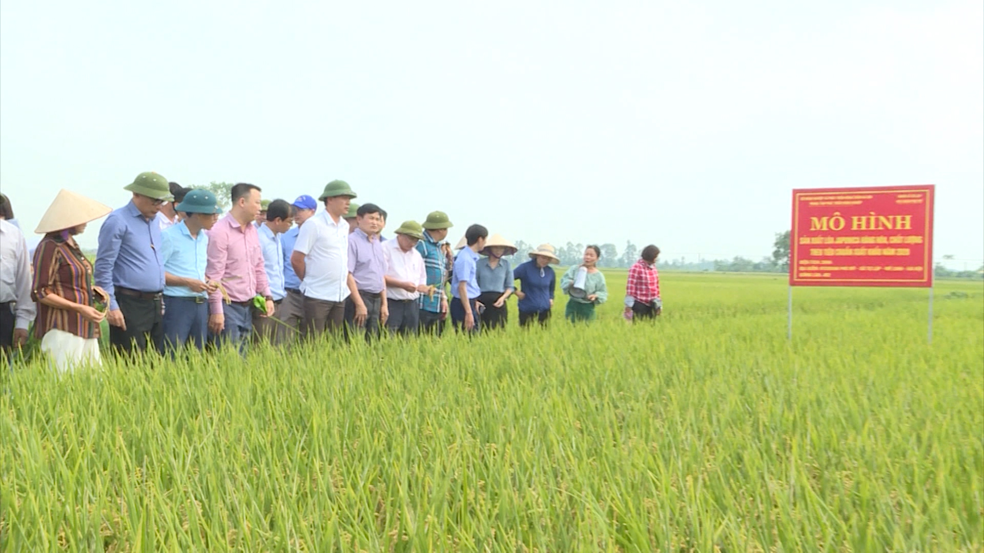 Ps_Đẩy mạnh giải pháp thúc đẩy ngành NN Thủ đô
