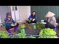 Tin_Huyện Sóc Sơn thúc đẩy kinh tế trang trại