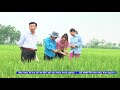 Kiểm tra bệnh đạo ôn
