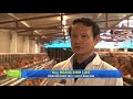 Trang trại chăn nuôi gà giống ứng dụng công nghệ cao
