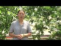 Hướng dẫn kỹ thuật nuôi cá sông trong ao