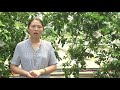 Nhà nông cần biết: Thiết kế ao nuôi cá theo CN Sông trong ao