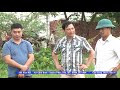 Kết nối doanh nghiệp với người dân mua bò tại Mê Linh