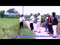 Tin_Nghiệm thu mô hình khuyến nông lúa vụ Mùa