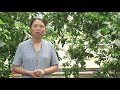 Nhà nông cần biết: Chăm sóc cá theo công nghệ Sông trong ao