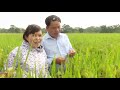Tổng kết vụ mùa và triển khai vụ đông 2018