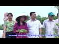Tin đoàn Khuyến Nông các tỉnh thăm mô hình tại Hà Nội