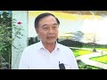 Bài hiệu quả mô hình cánh đồng một giống