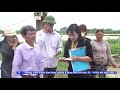 Tin cấp cá giống tại huyện thường tín
