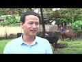 Bài chuỗi chăn nuôi tiêu thụ giống bò Wagyu