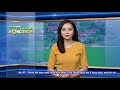 Hướng dẫn kỹ thuật trồng khoai tây bằng phương pháp làm đất tối thiểu