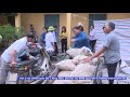 Tin giao giống mô hình khuyến nông trồng trọt