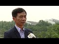 Nhà nông cần biết: Cách phòng và trị bệnh lở mồm long móng trên gia súc