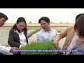 Tin_Khai trương Trung tâm sản xuất mạ khay tại Quốc Oai