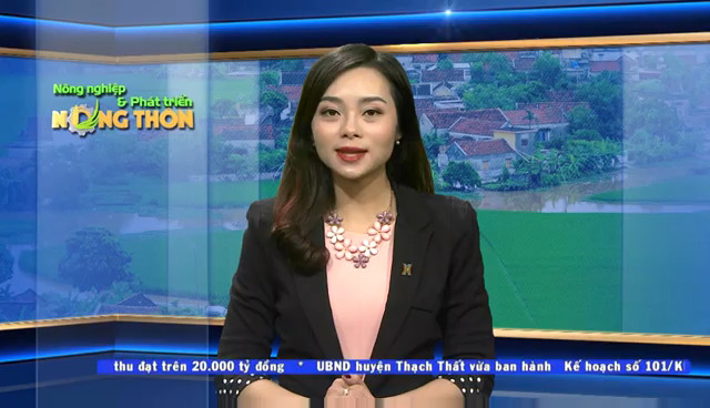 Tin huyen Thanh Oai gioi thieu chuoi tieu thu SP CN an toan