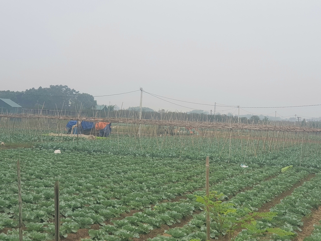 Nông dân thay đổi tư duy, phát triển nông nghiệp công nghệ 4.0
