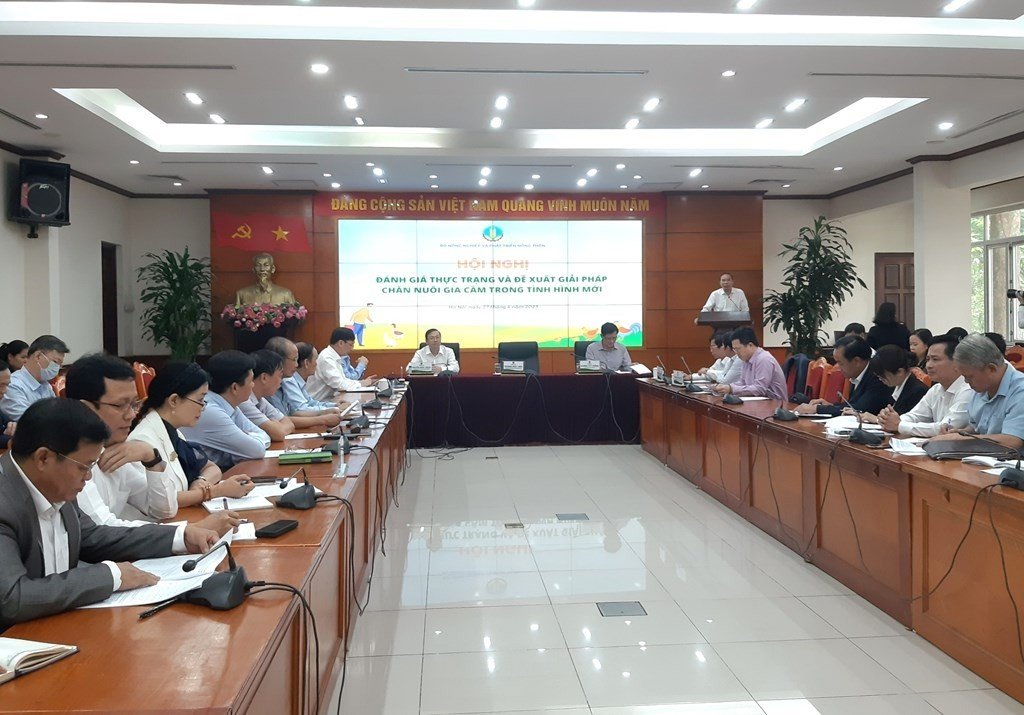 Hội nghị đánh giá thực trạng và đề xuất giải pháp chăn nuôi gia cầm trong tình hình mới