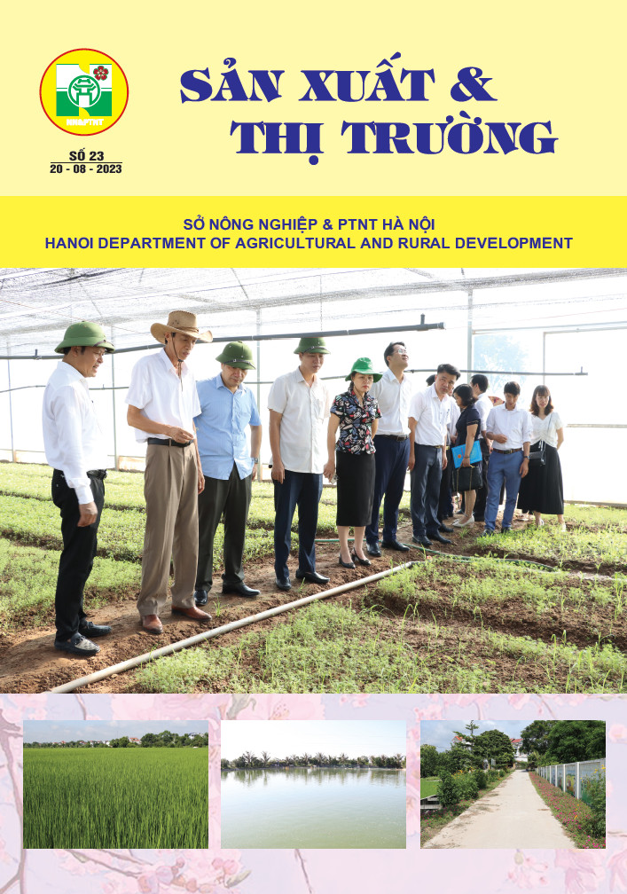 Bản tin Sản xuất & Thị trường số 23 năm 2023.