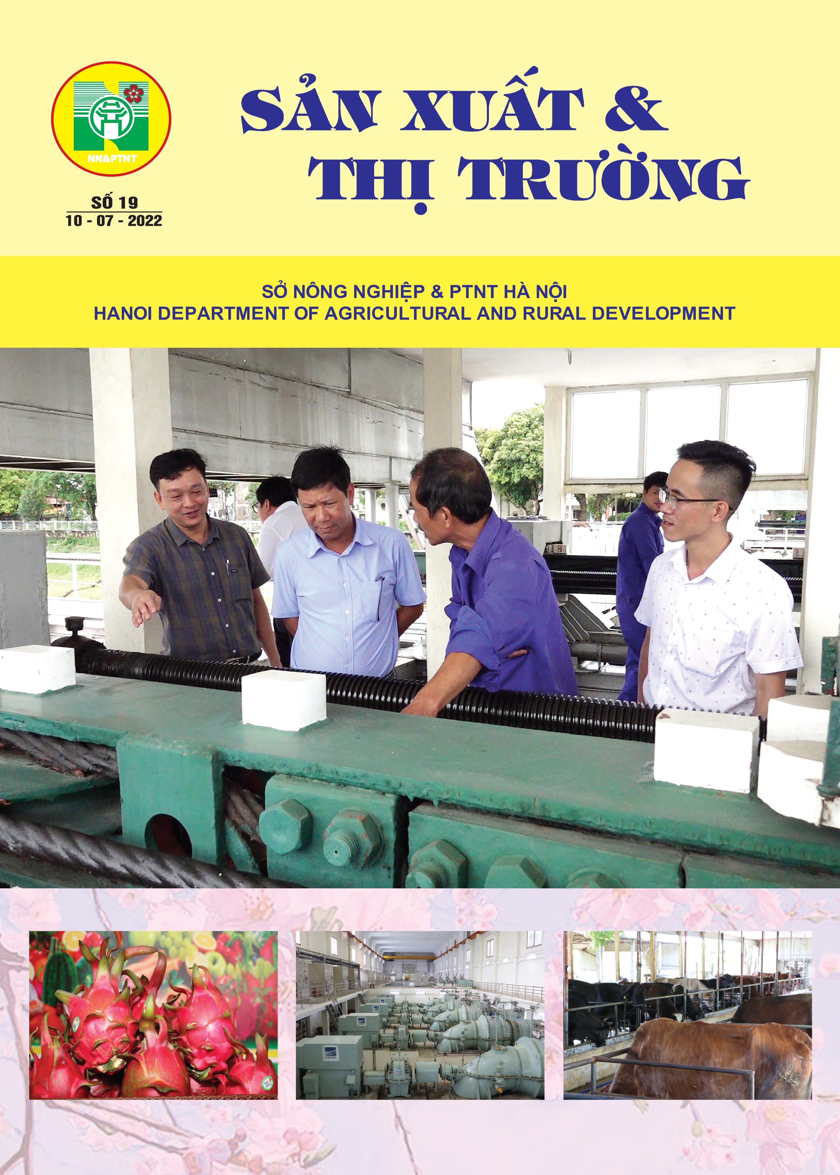 Bản tin Sản xuất & Thị trường số 19 năm 2022