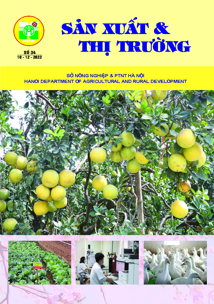 Bản tin Sản xuất & Thị trường số 34 năm 2022
