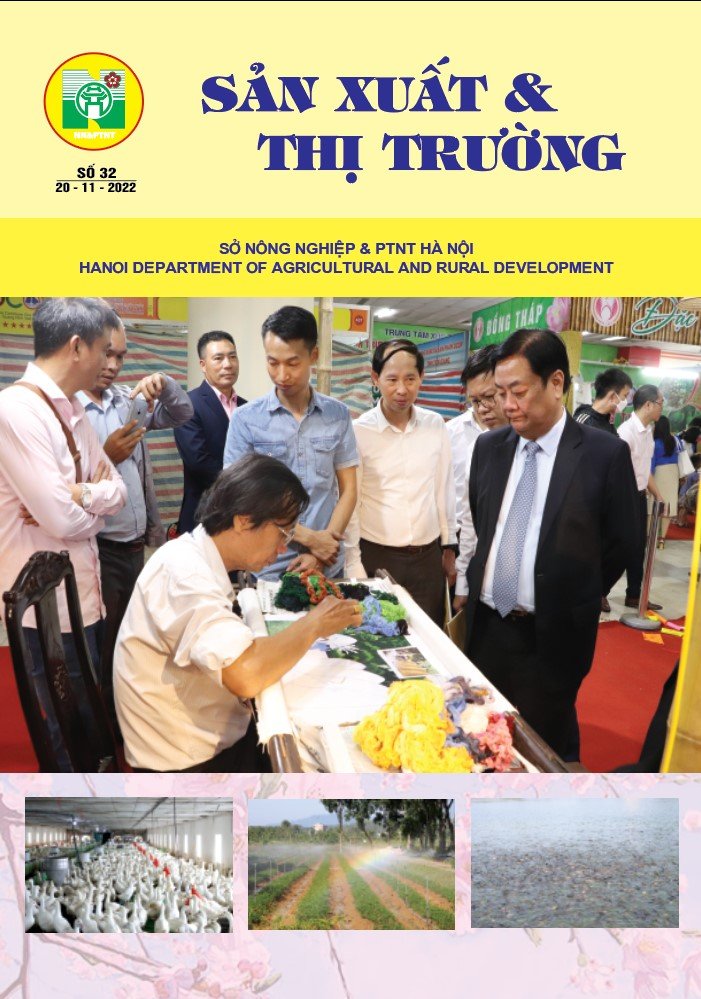 Bản tin Sản xuất & Thị trường số 32 năm 2022