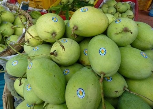 Xoài Việt Nam chính thức được xuất khẩu sang Mỹ