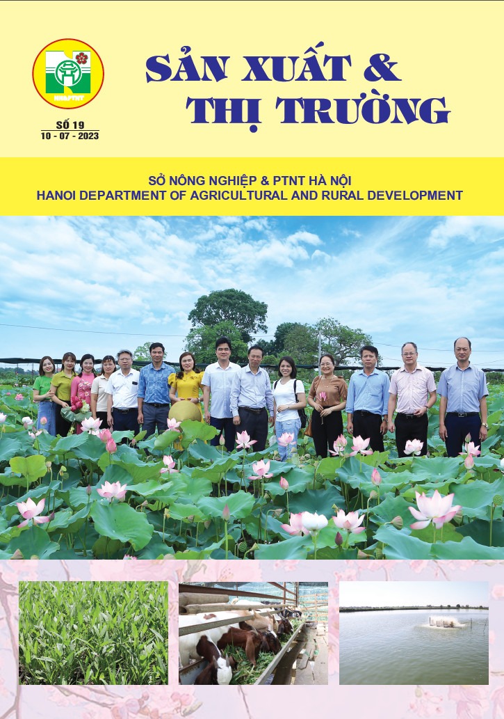 Bản tin Sản xuất & Thị trường số 19 năm 2023