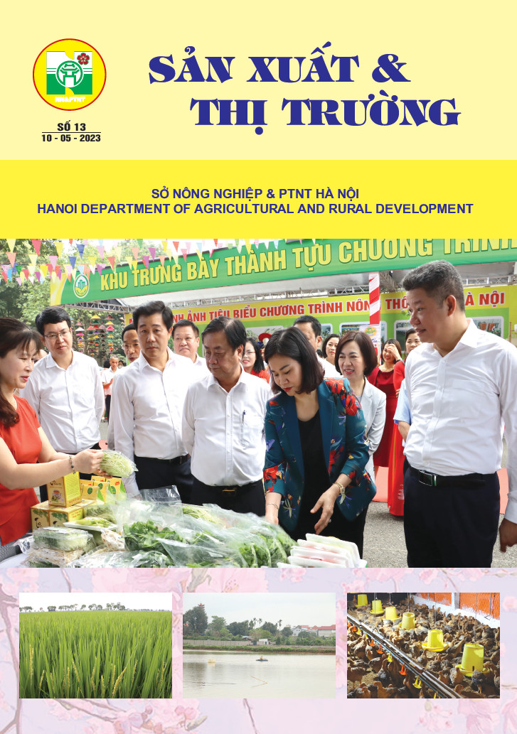 Bản tin Sản xuất & Thị trường số 13 năm 2023
