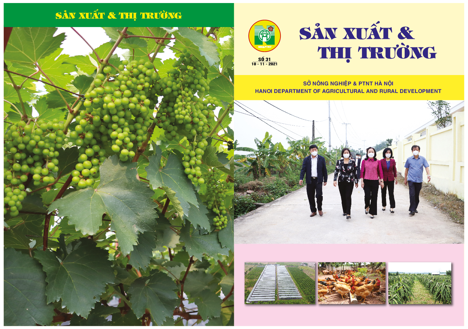 Bản tin Sản xuất & thị trường số 31 năm 2021