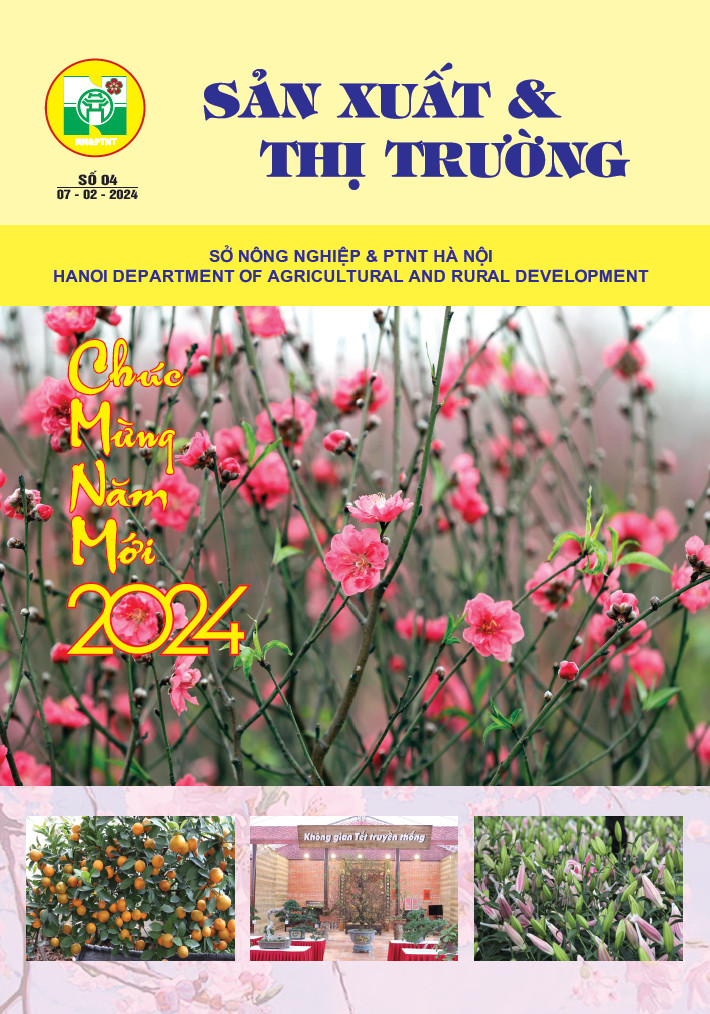 Bản tin Sản xuất & Thị trường số 4 năm 2024