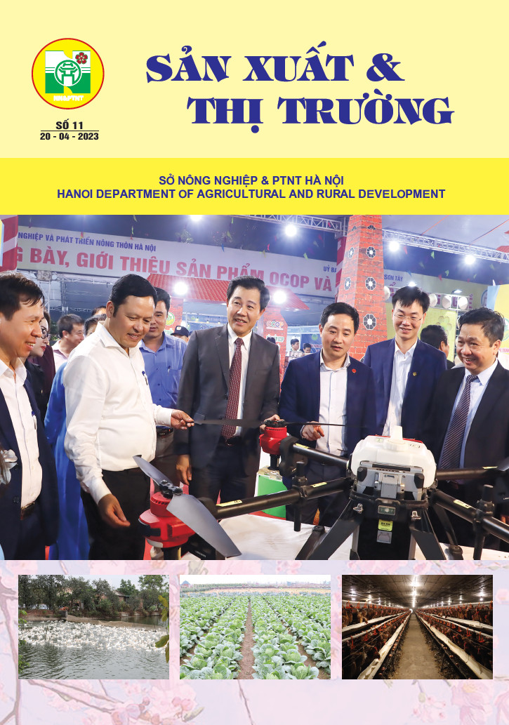 Bản tin Sản xuất & Thị trường số 11 năm 2023