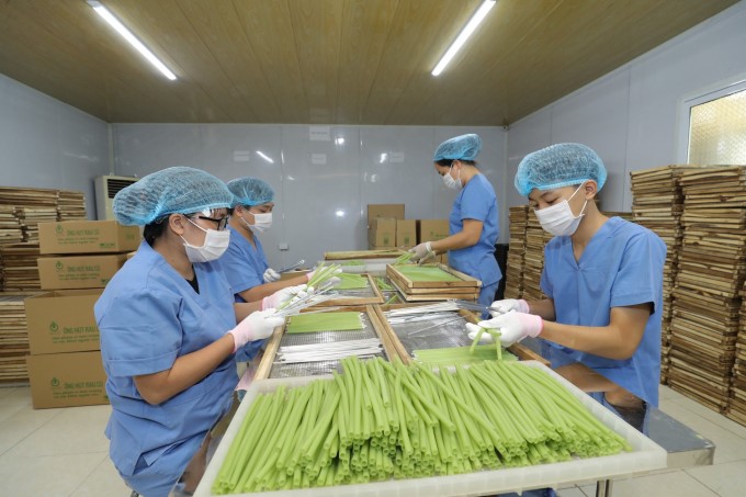 Huyện Đông Anh, Hà Nội – Sản phẩm tiềm năng 5 sao: Biến rau củ quả thành ống hút thân...