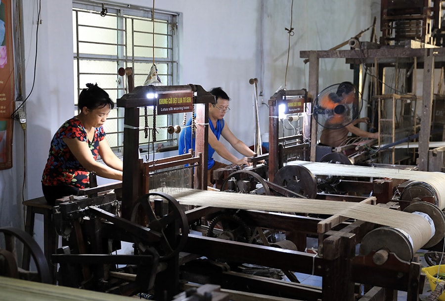 Phát triển sản phẩm OCOP từ vùng chuyên canh của hợp tác xã: Nâng tầm giá trị nông sản Thủ...